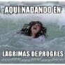 vecinita